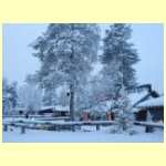 DSCN4526.JPG